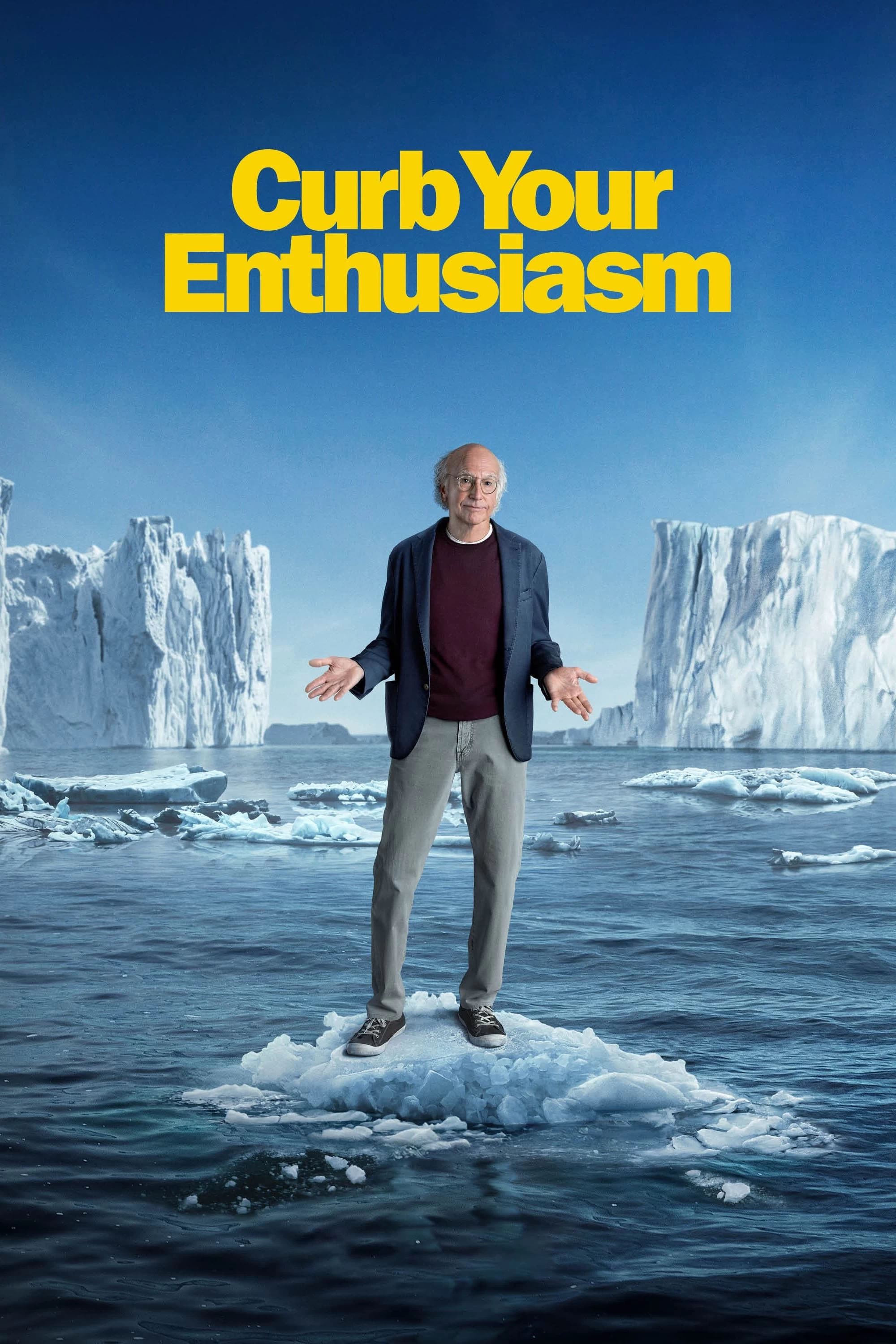 Xem phim Đừng Quá Nhiệt Tình (Phần 2) - Curb Your Enthusiasm (Season 2) (2001)