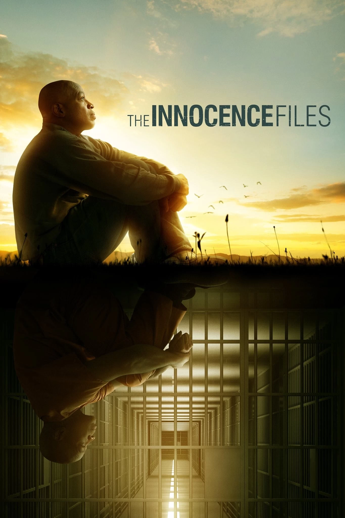 Xem phim Hồ sơ vô tội - The Innocence Files (2020)