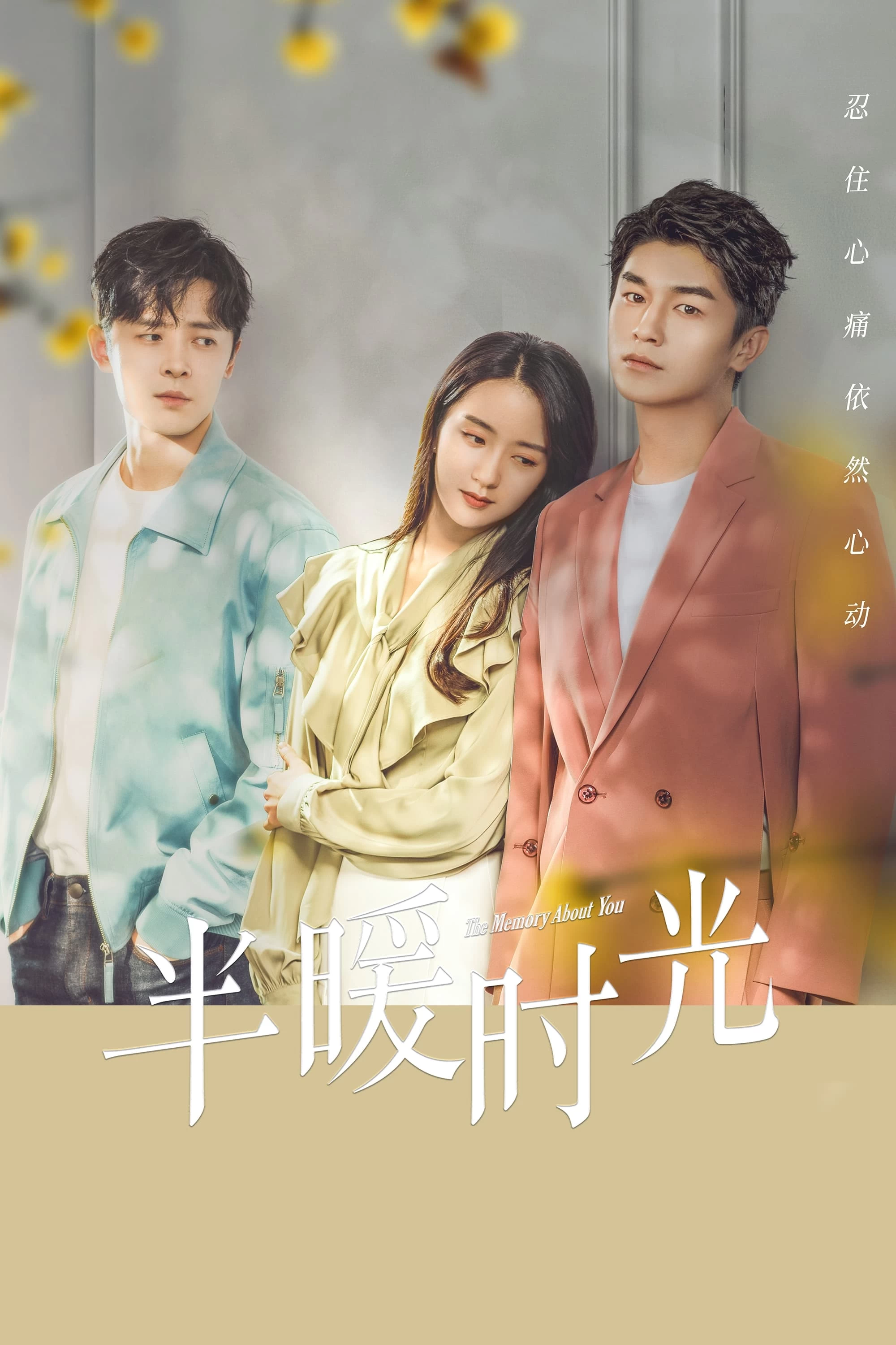 Xem phim Nửa Thời Gian Ấm Áp - The Memory About You (2021)