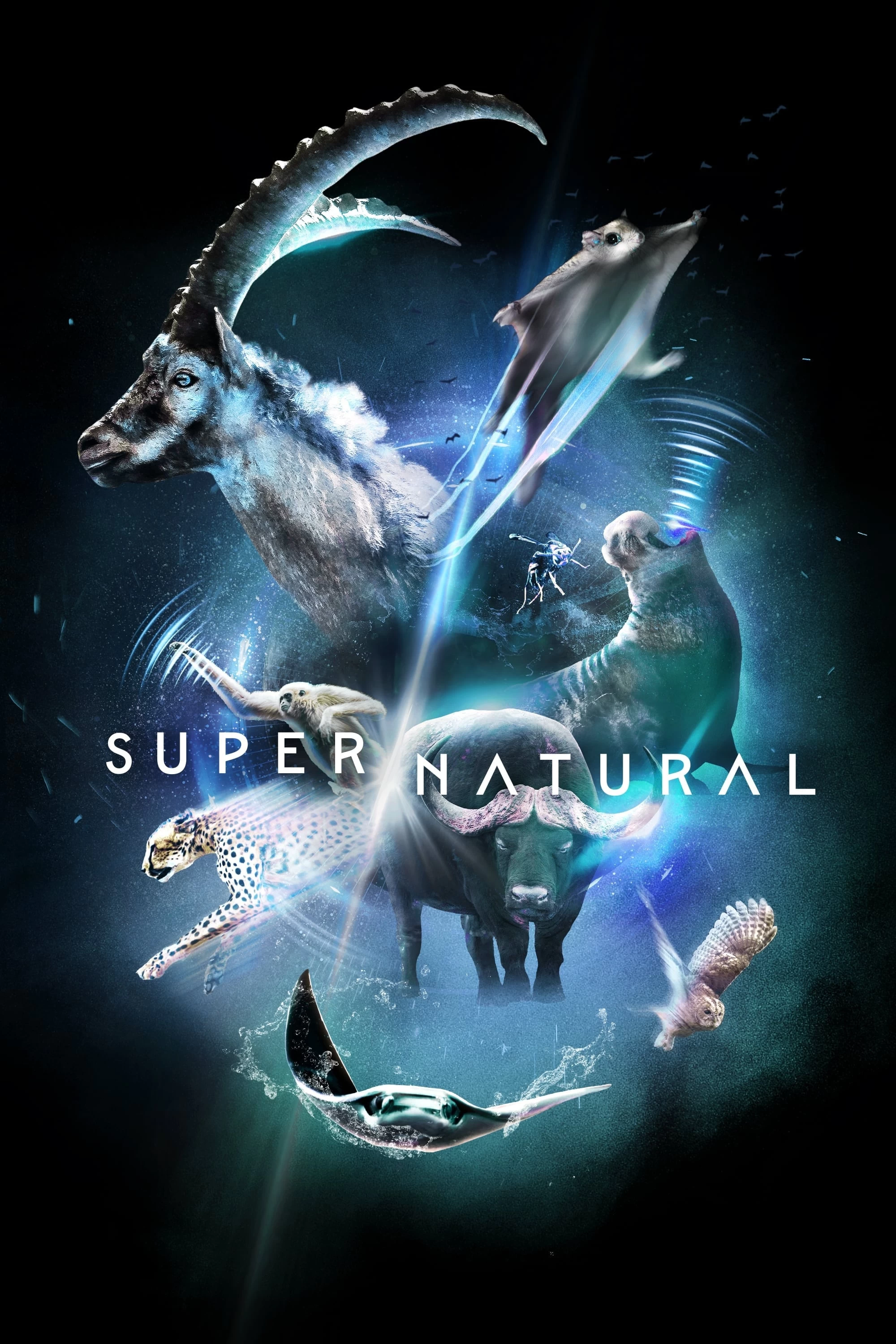 Xem phim Siêu Tự Nhiên - Super/Natural (2022)