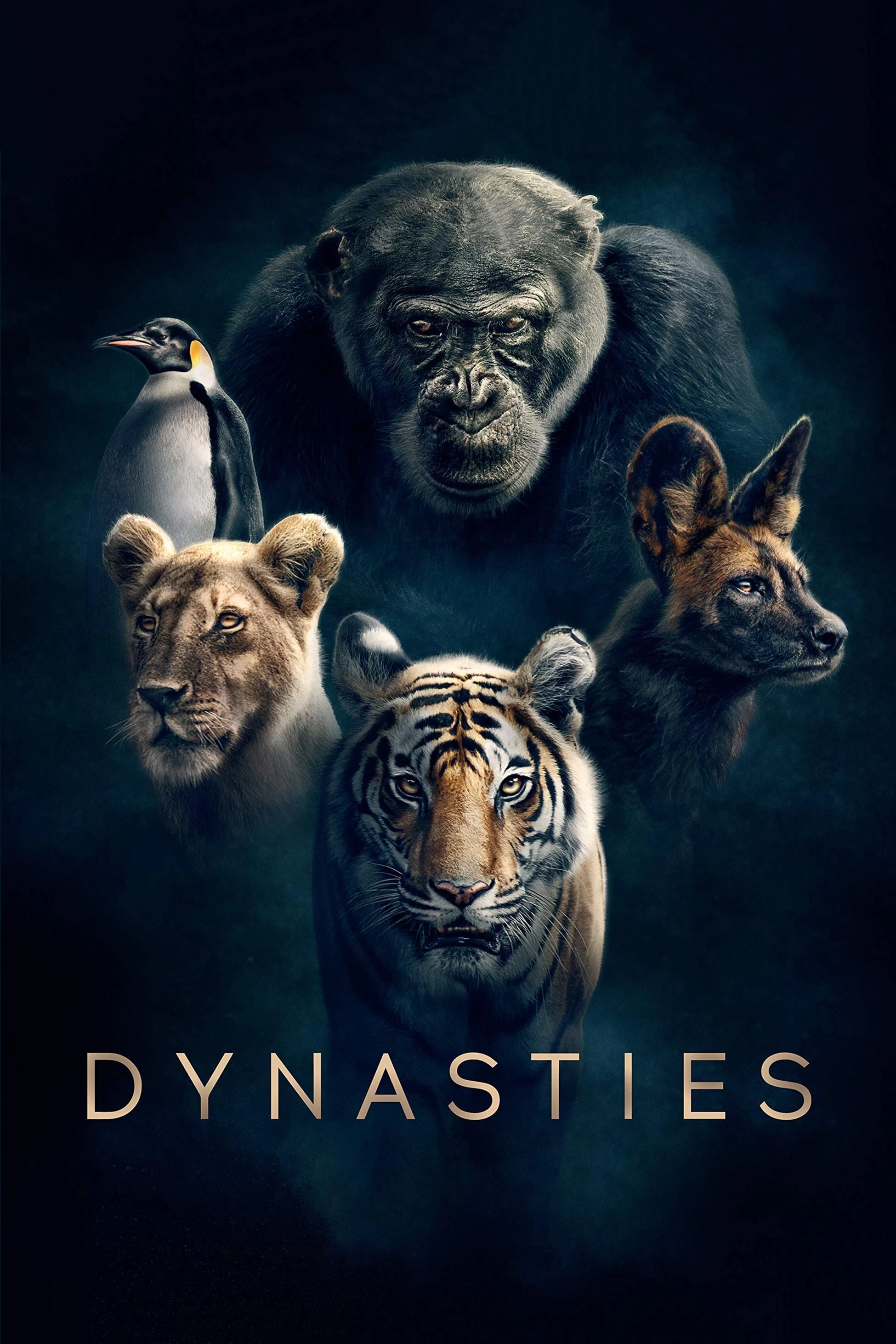 Xem phim Triều Đại - Dynasties (2018)