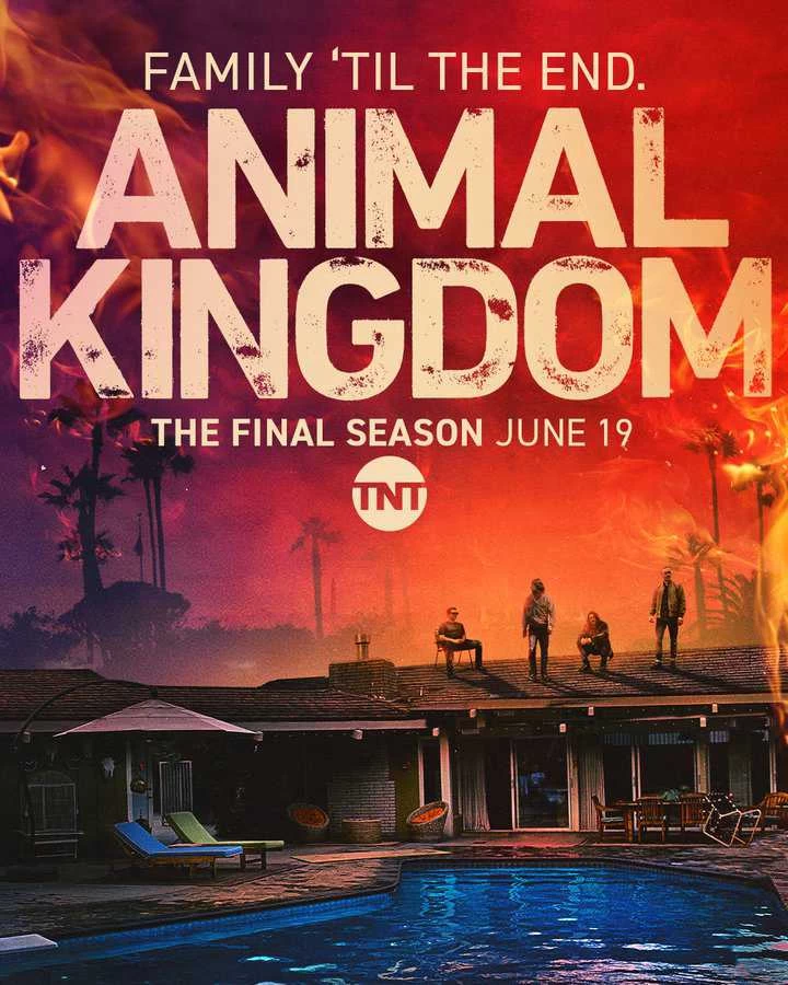 Xem phim Vương Quốc Tội Phạm (Phần 6) - Animal Kingdom (Season 6) (2022)