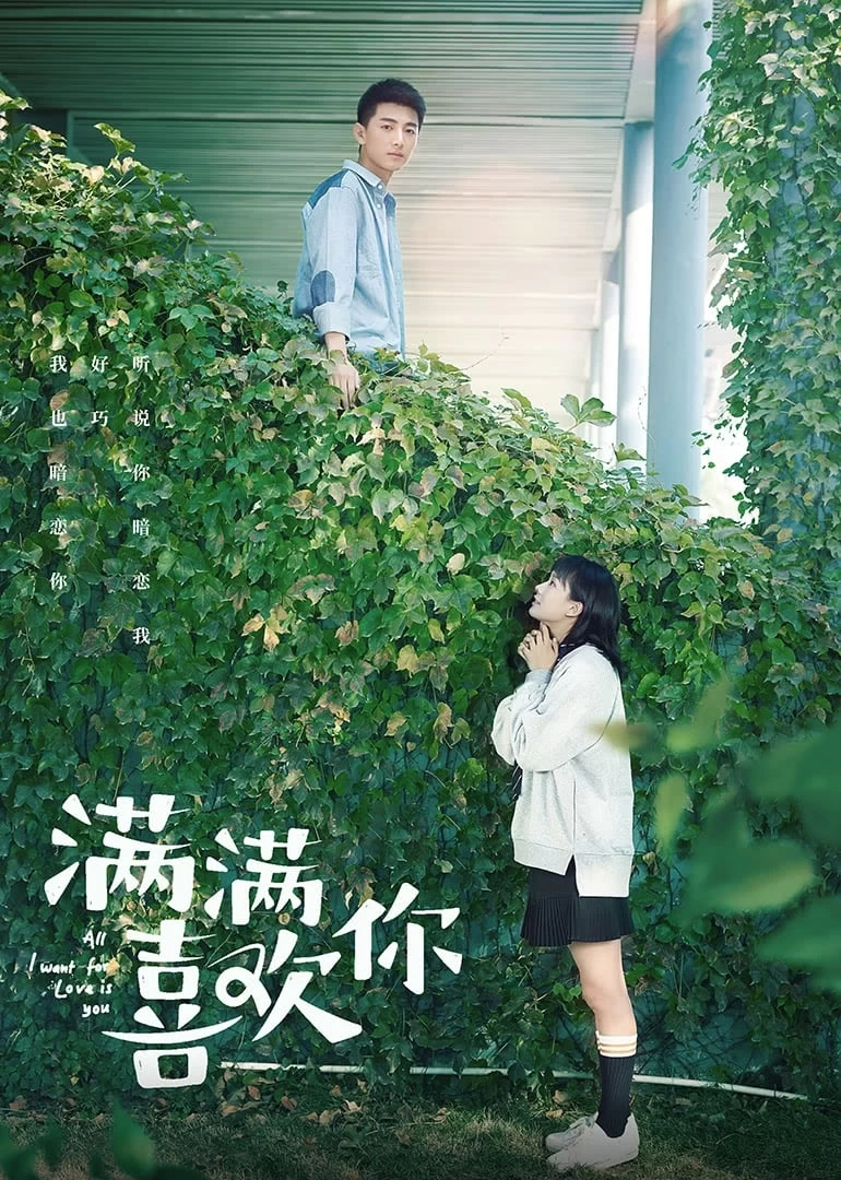 Xem phim Yêu Thương Đong Đầy - All I Want For Love Is You (2019)